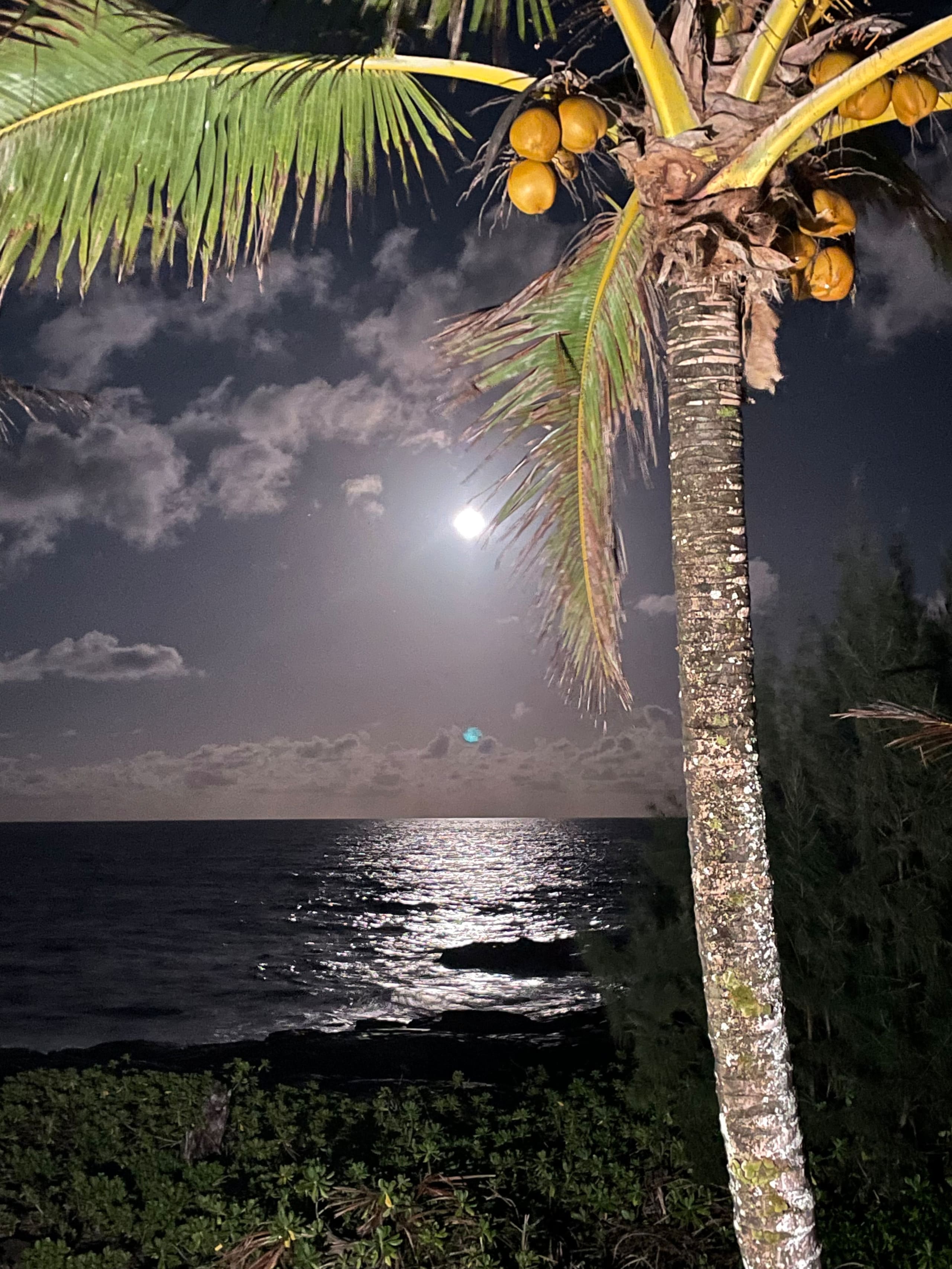 Home in Keaau · ★5.0 · 4 bedrooms · 6 beds · 2 private baths - Image 53