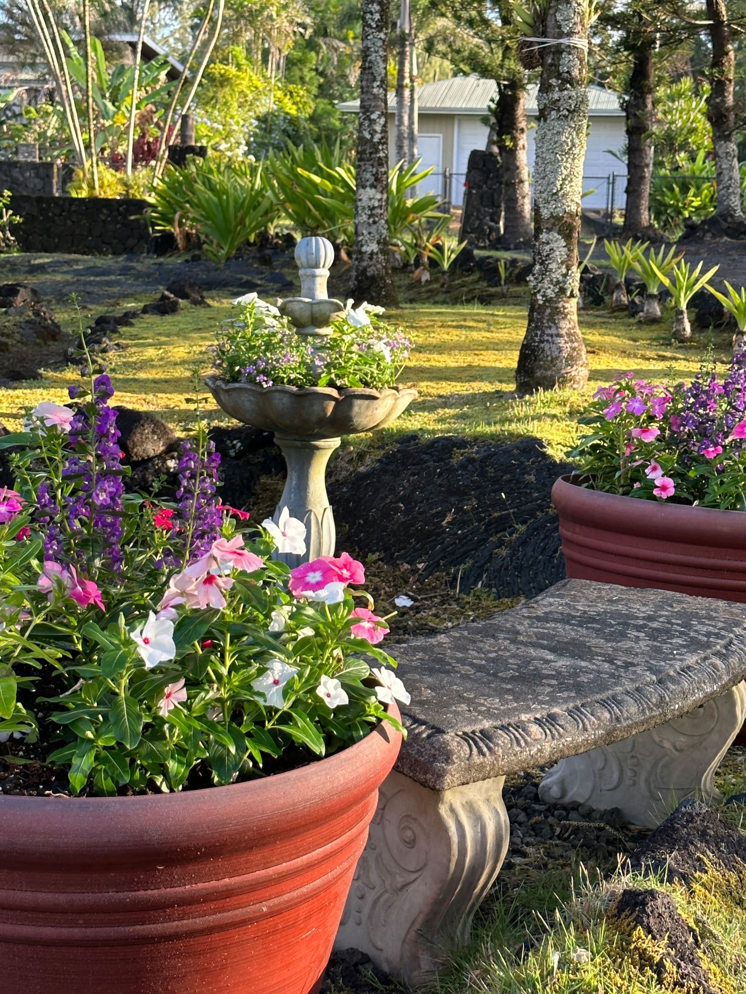 Home in Keaau · ★5.0 · 4 bedrooms · 6 beds · 2 private baths - Image 32