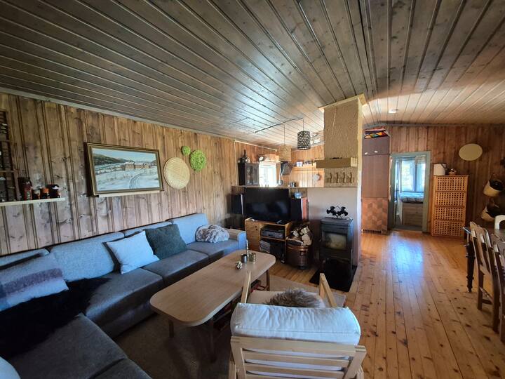 Hytte På Fjellet I Eggedal - Noruega