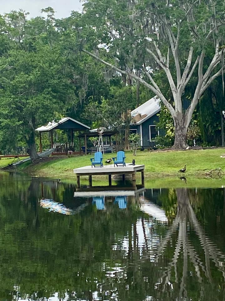 Quiet Hideaway Near Moffitt Ctr - Odessa, FL
