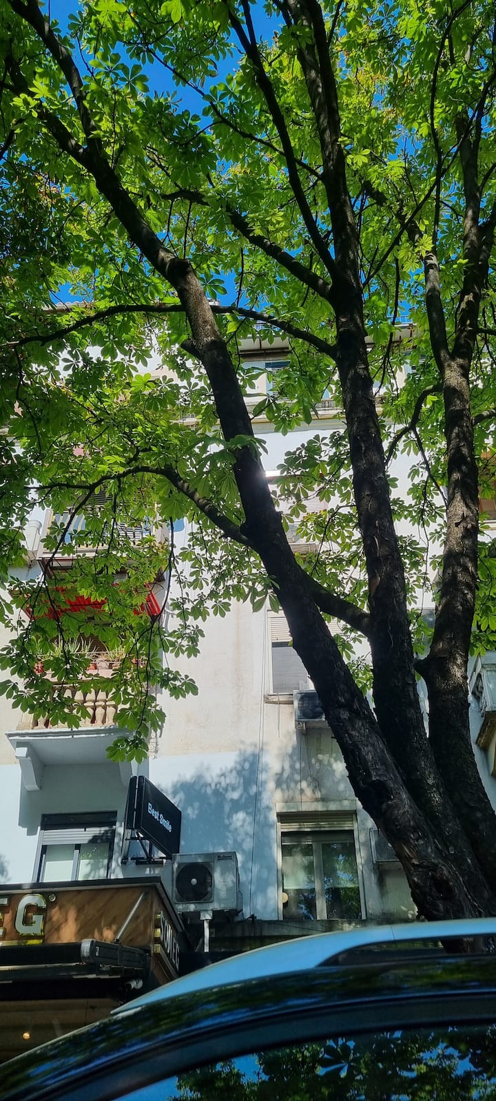 An's Apartment - Tirana