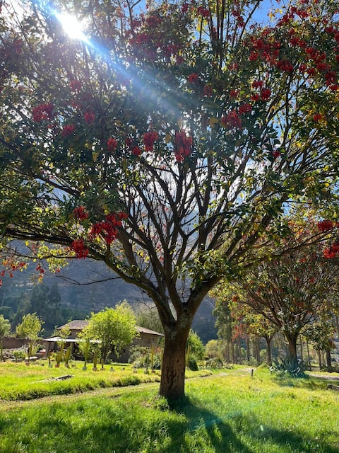 Beautiful View Casa de Campo Adobe Yucay Urubamba