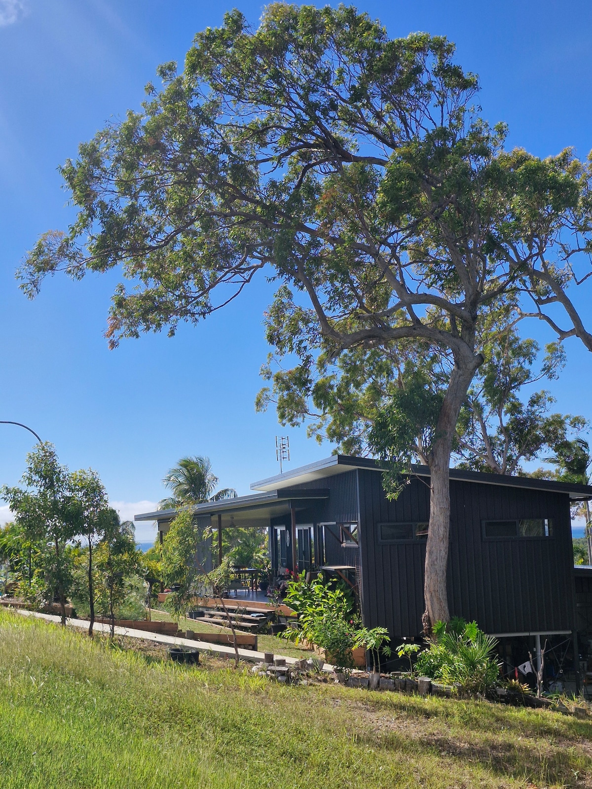 A modern black house sits amidst lush greenery, complemented by a tall tree providing shade. A wide deck is visible, featuring outdoor seating that invites relaxation. The clear blue sky and surrounding plants enhance the natural setting, creating a peaceful environment.