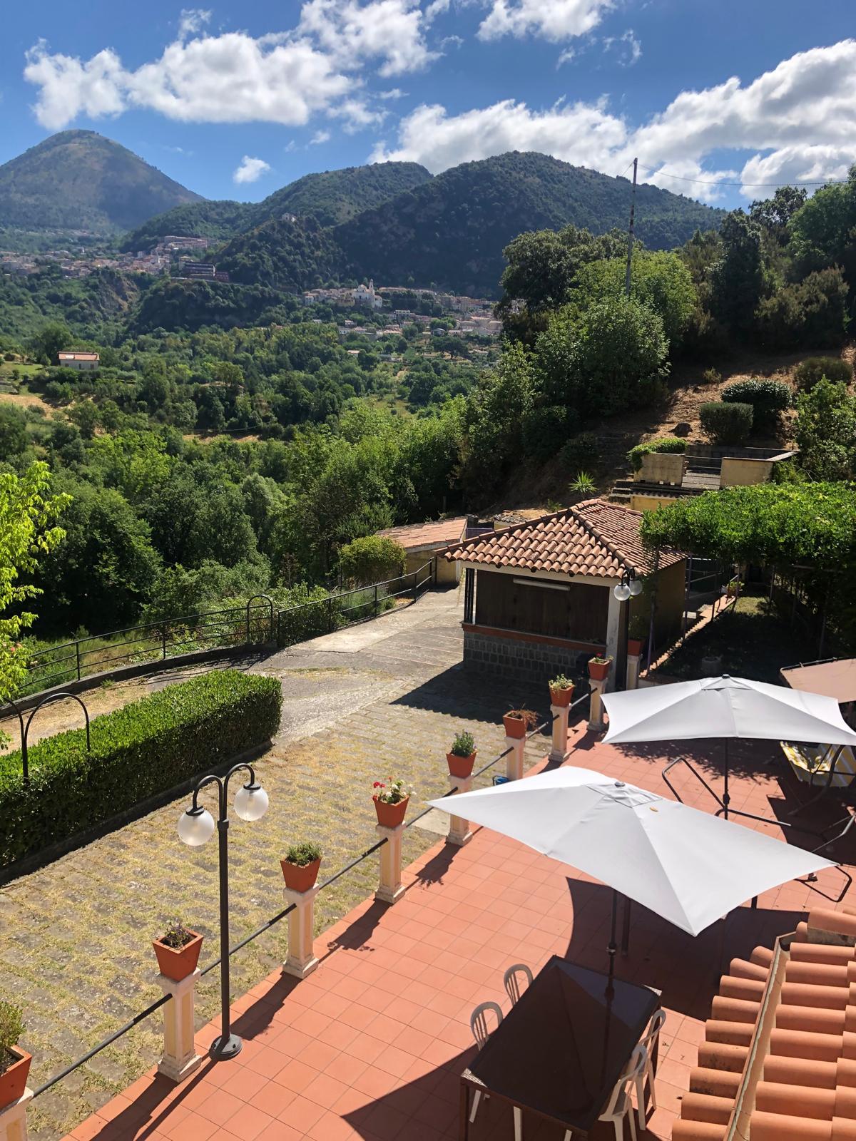 A scenic view reveals lush green hills and distant mountains under a clear blue sky. An outdoor area is featured, showcasing several potted plants and umbrellas. A rustic building with a tiled roof is visible among the greenery, contributing to the inviting natural ambiance.
