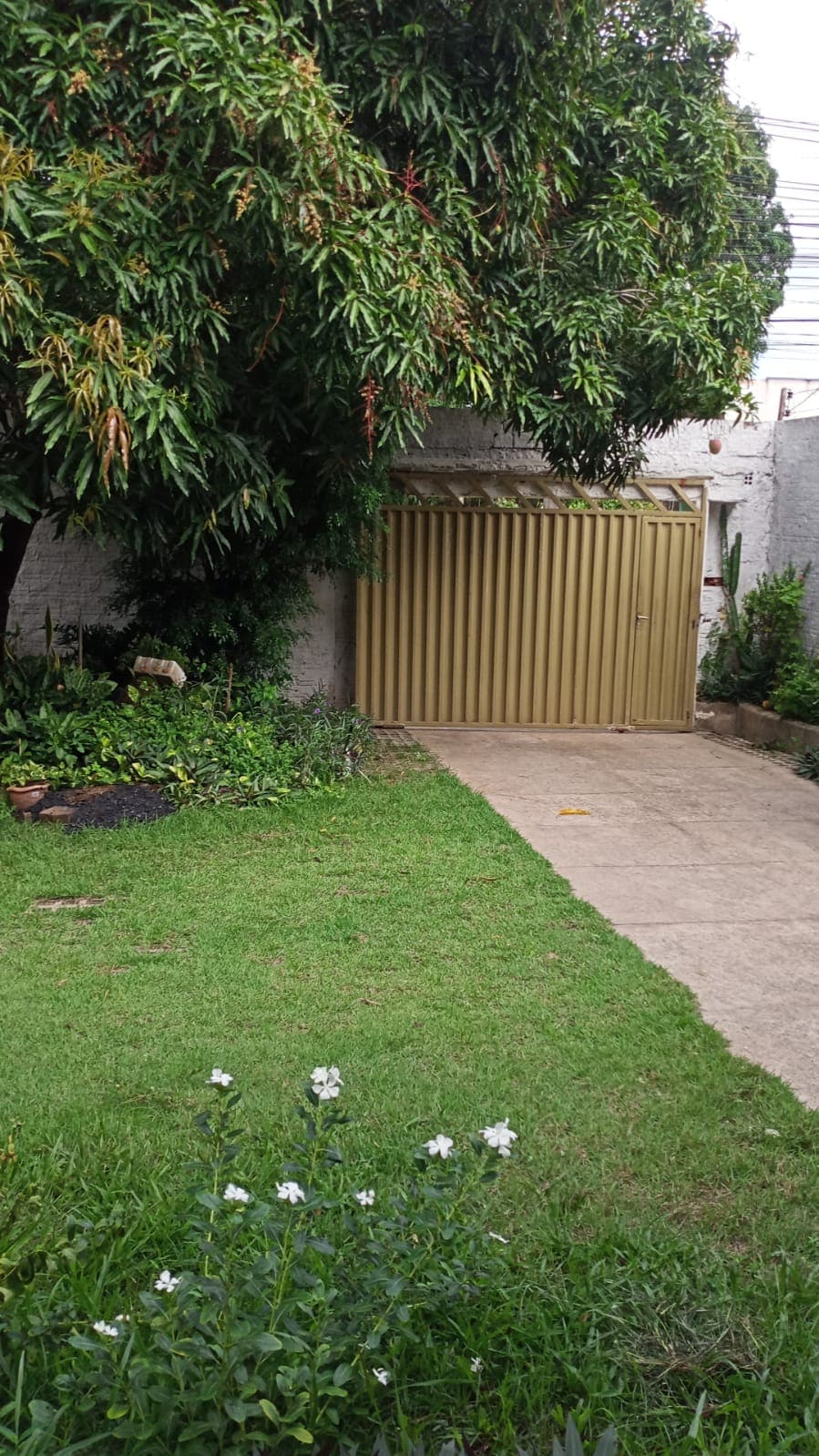 A manicured green lawn features clusters of white flowers, providing a touch of freshness. A paved path leads to a gated entrance, framed by lush plants and trees. The area is designed for both accessibility and a pleasant outdoor experience.