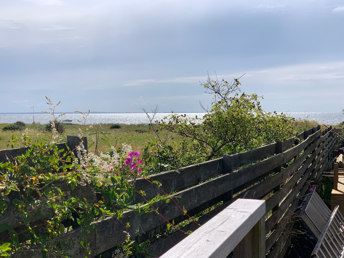 A view of the shimmering sea is visible beyond a rustic wooden fence, adorned with greenery and flowering plants. The horizon showcases a distant boat, while natural elements blend seamlessly with the landscape, offering a tranquil outdoor scene.