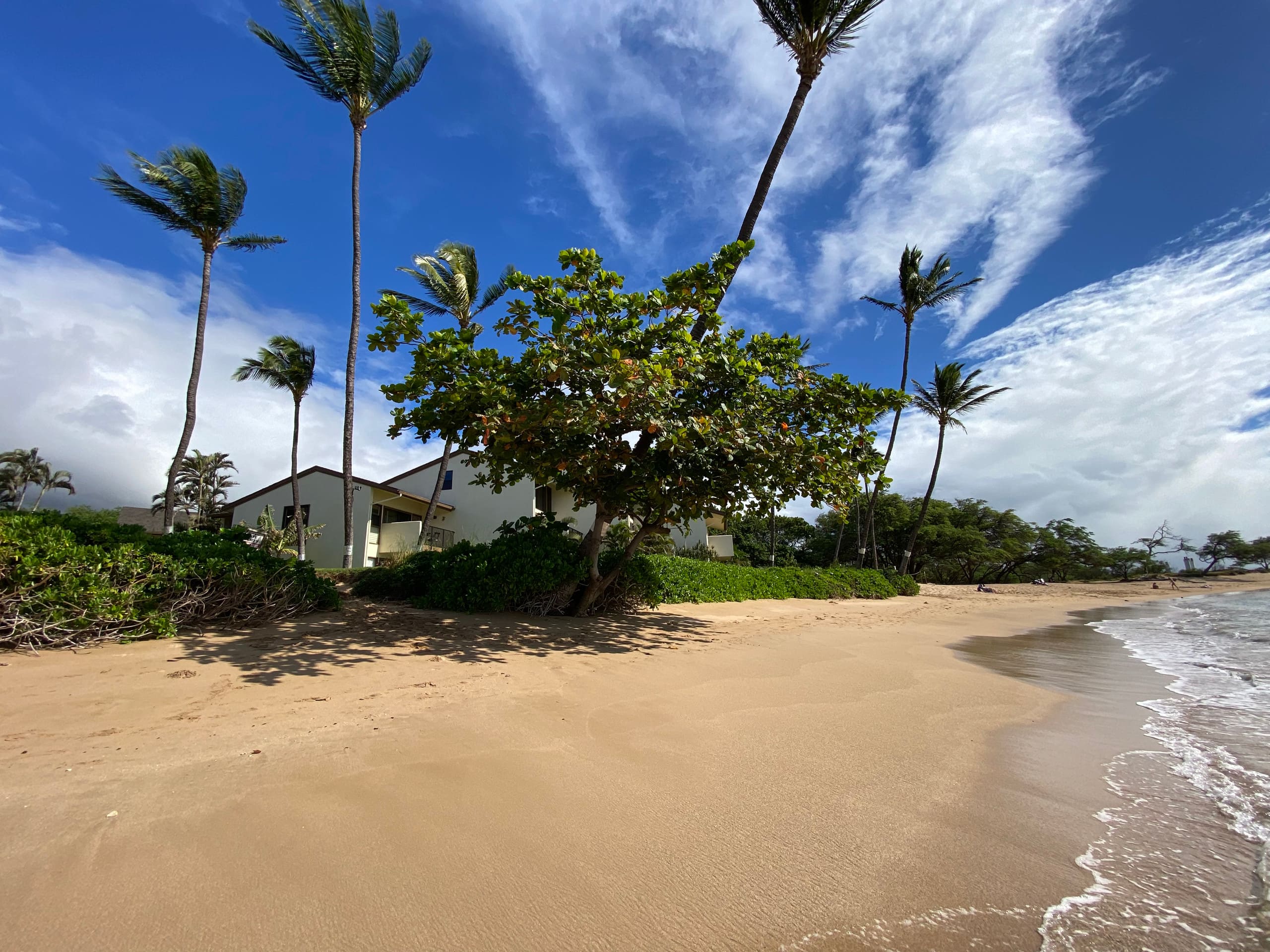 Makani A Kai B5- Beachfront 15 feet to Sugar Beach - Image 7