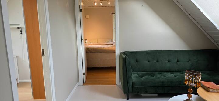 ห้องนั่งเล่นพร้อมโซฟาที่นอน