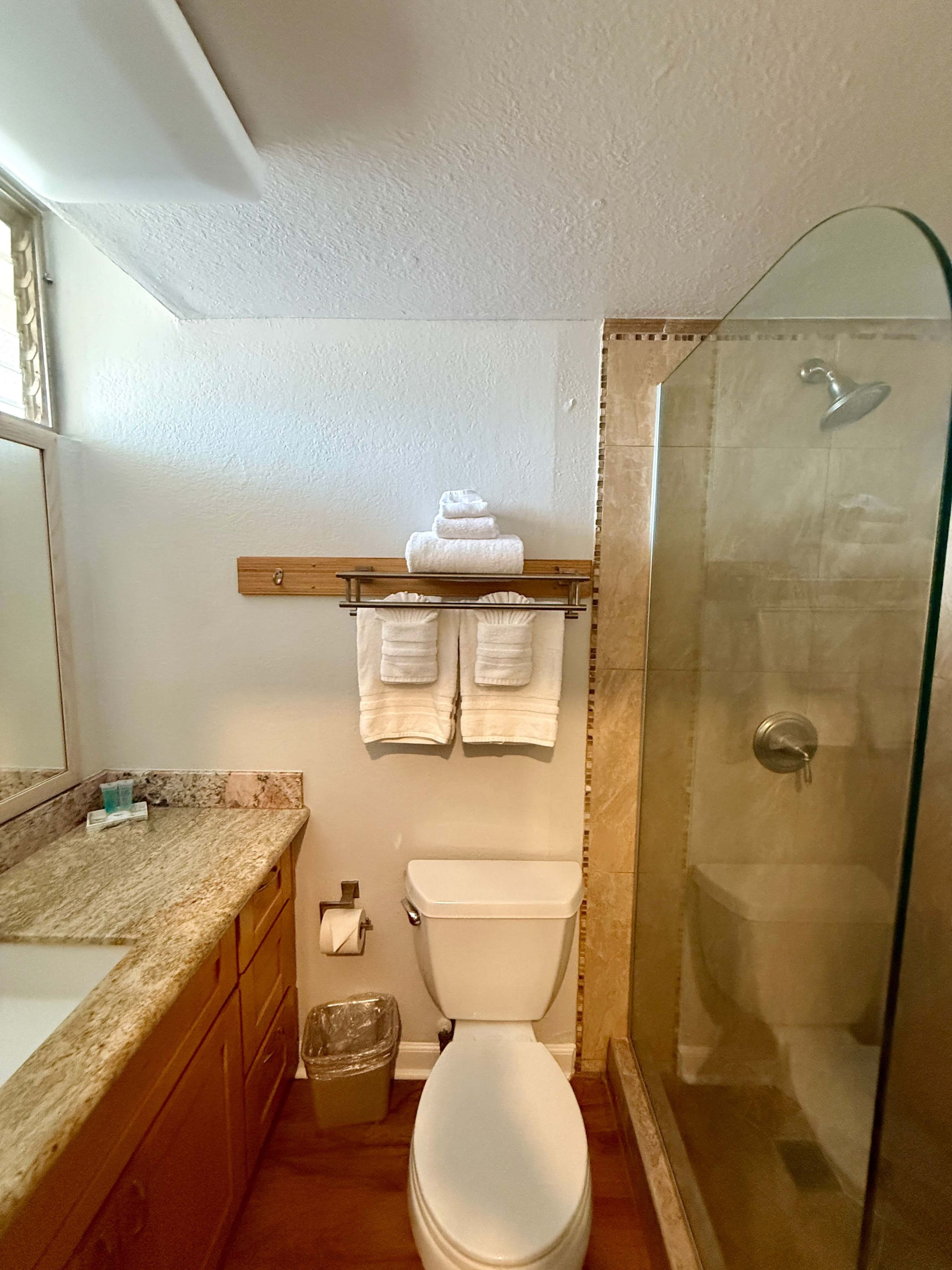 Condo in Lahaina · ★4.8 · Studio · 1 bed · 1 private bath - Image 9