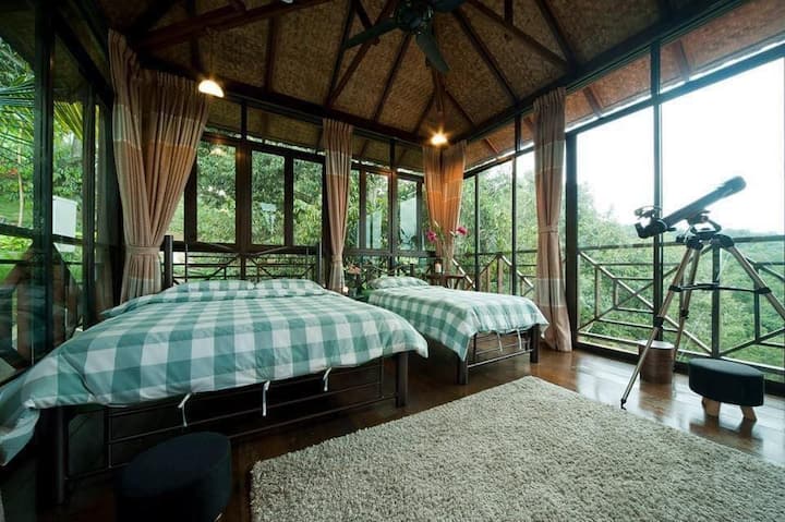 C03 - Chalet en verre