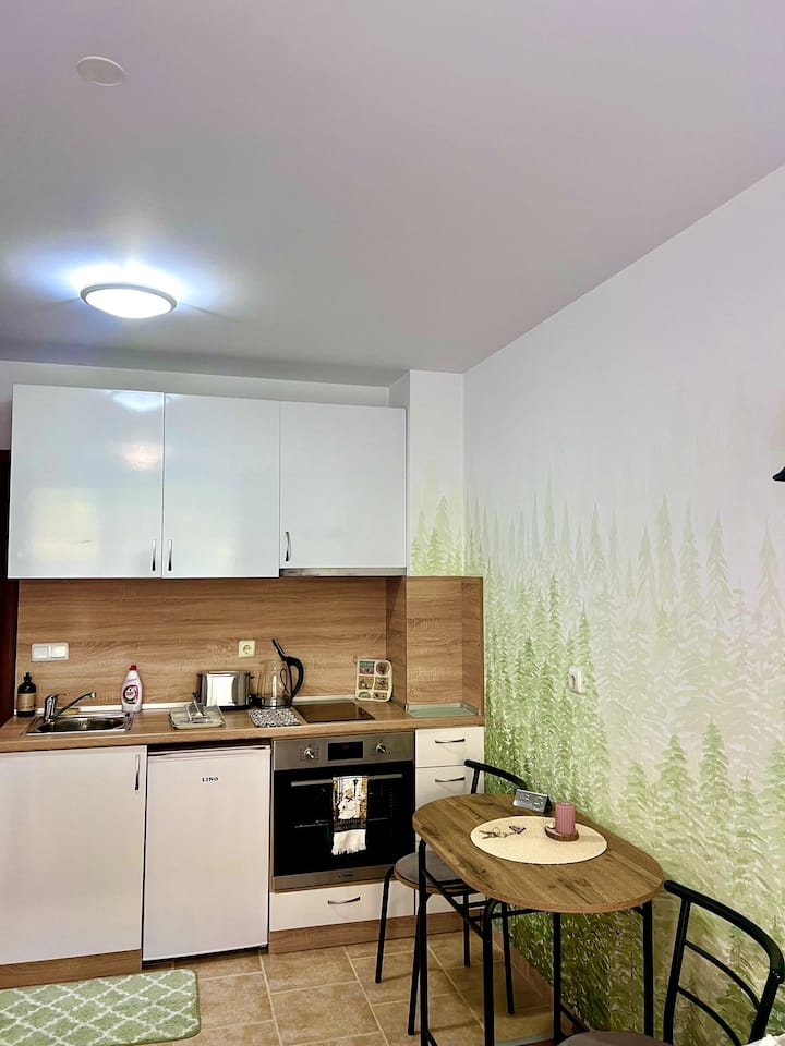 Modern Studio, Free Parking, Close To The Gondola - Bansko