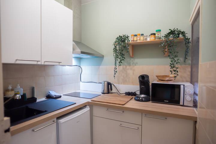Studio Chatel Guyon-vue Parc Thermal, Plein Centre - Riom