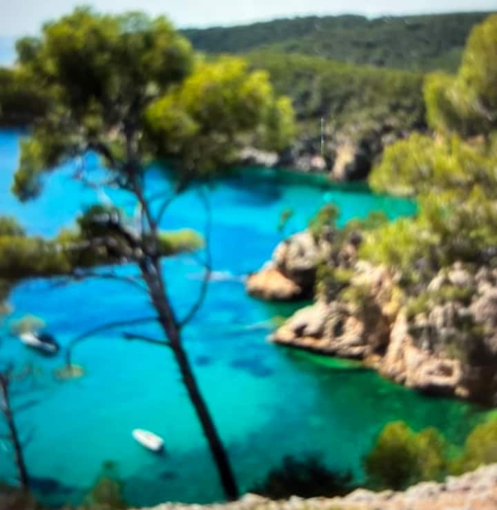 Appartement Saint-cyr Sur Mer - Saint-Cyr-sur-Mer