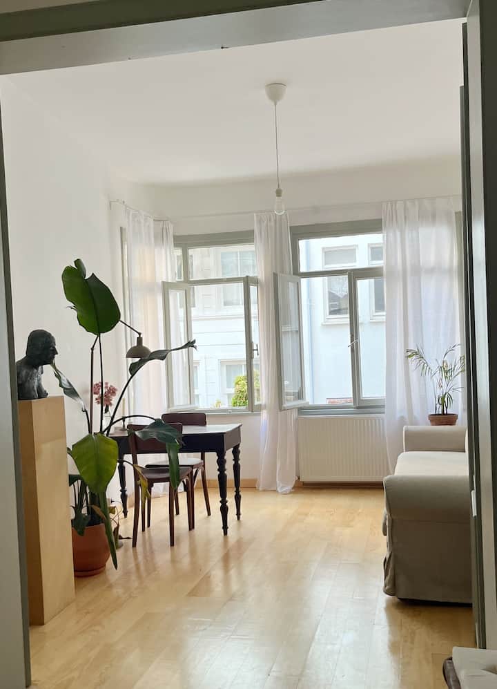 Müstakil Girişli,verandalı Prinkipo Evi/büyükada - Adalar