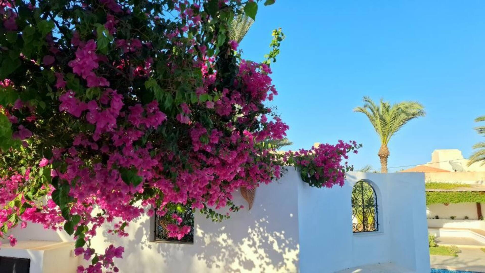 The blue house with pool, not overlooked, in Midoun — photo 5