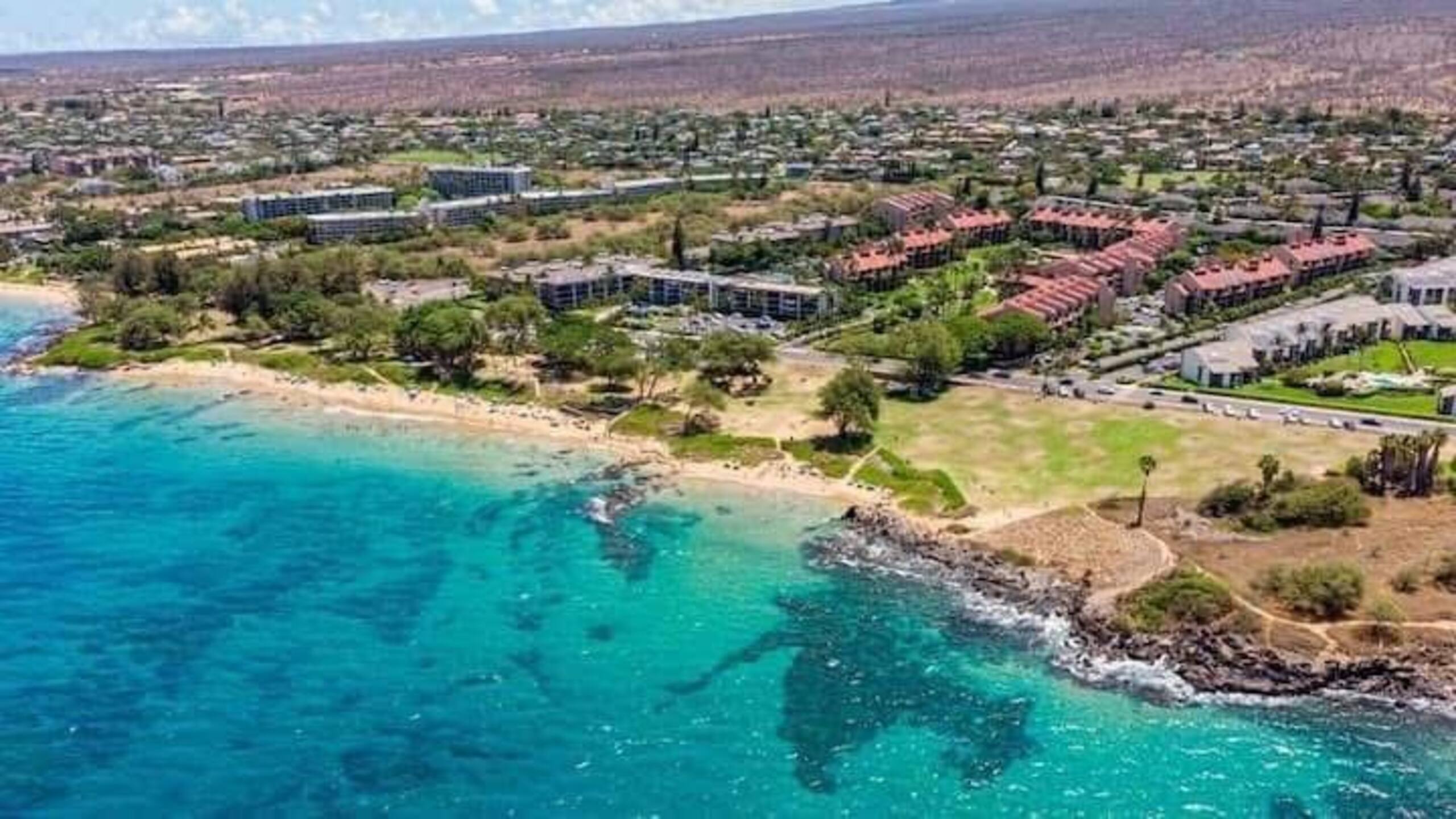 Condo in Kihei · ★4.6 · 1 bedroom · 4 beds · 1 bath - Image 82