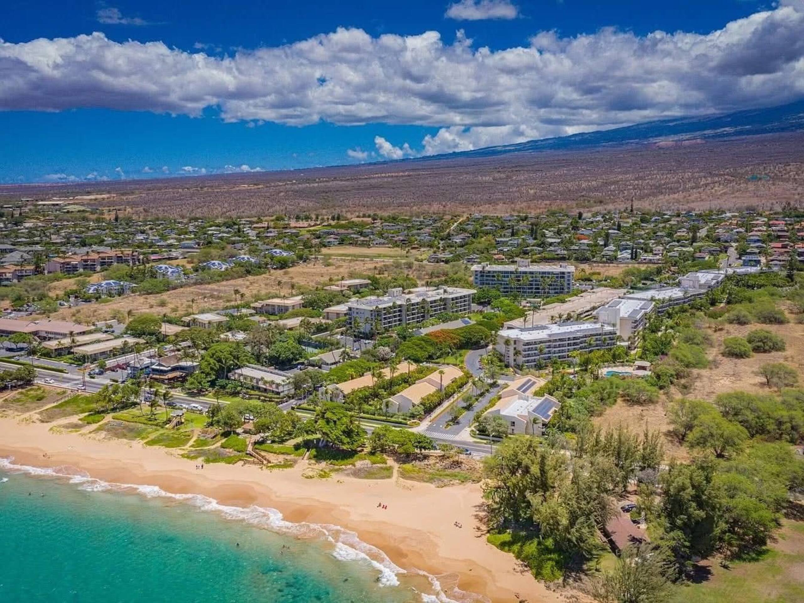 Condo in Kihei · ★4.6 · 1 bedroom · 4 beds · 1 bath - Image 81