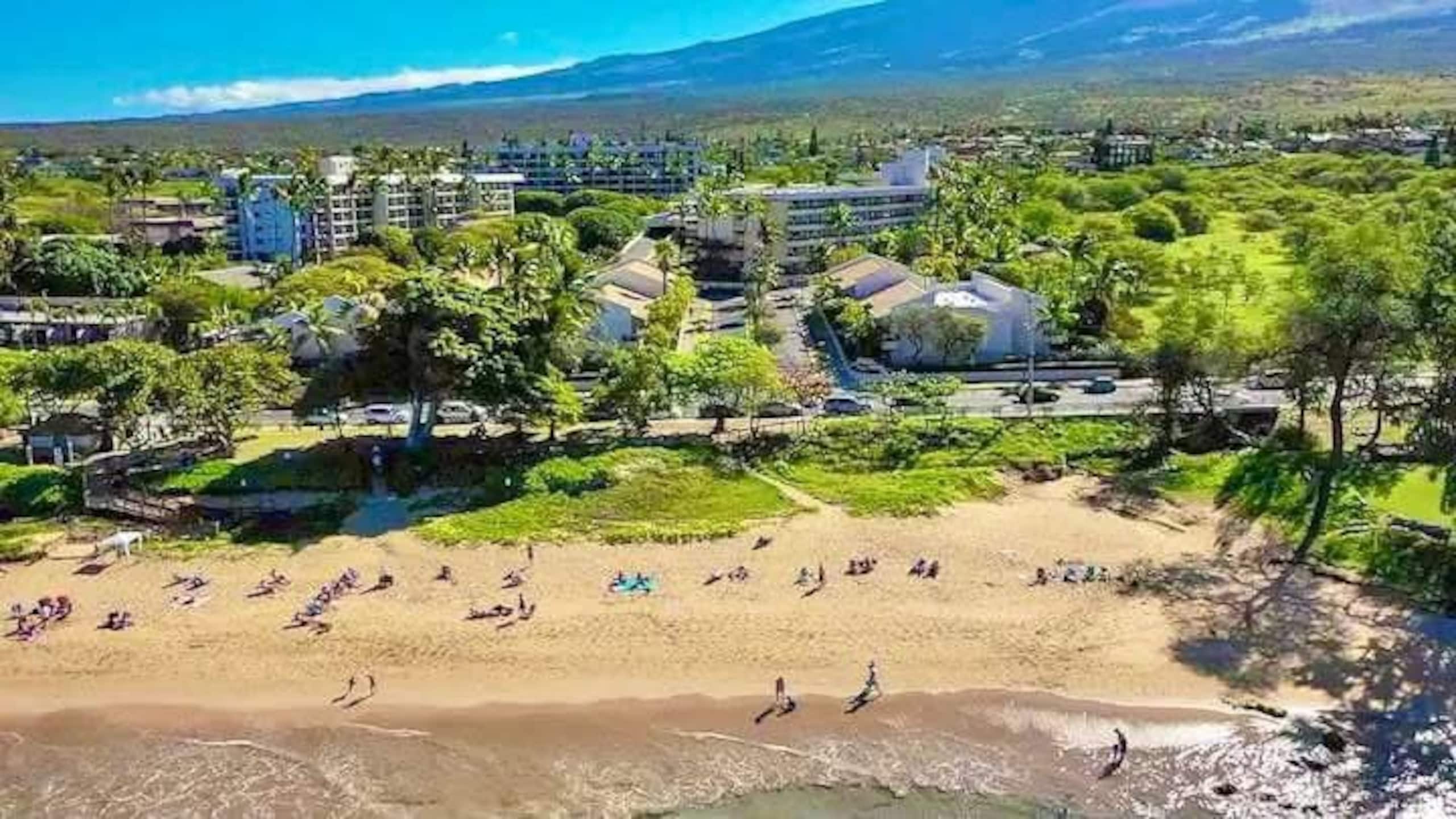 Condo in Kihei · ★4.6 · 1 bedroom · 4 beds · 1 bath - Image 76