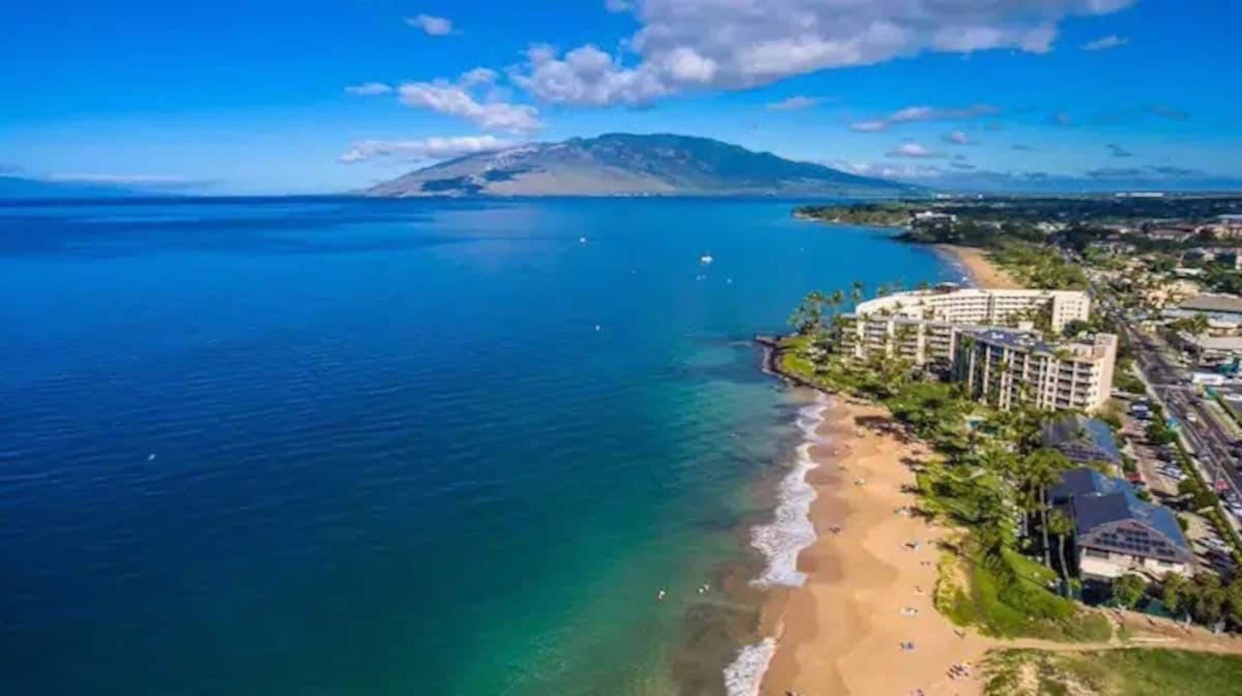 Condo in Kihei · ★4.6 · 1 bedroom · 4 beds · 1 bath - Image 84