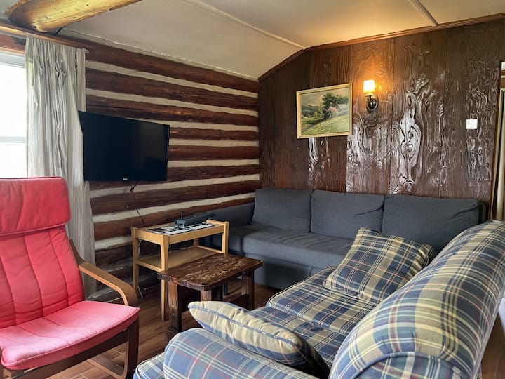 Stunning Lakeview 2-bdrm Cabin On Balsam Lake #06 - Fenelon Falls