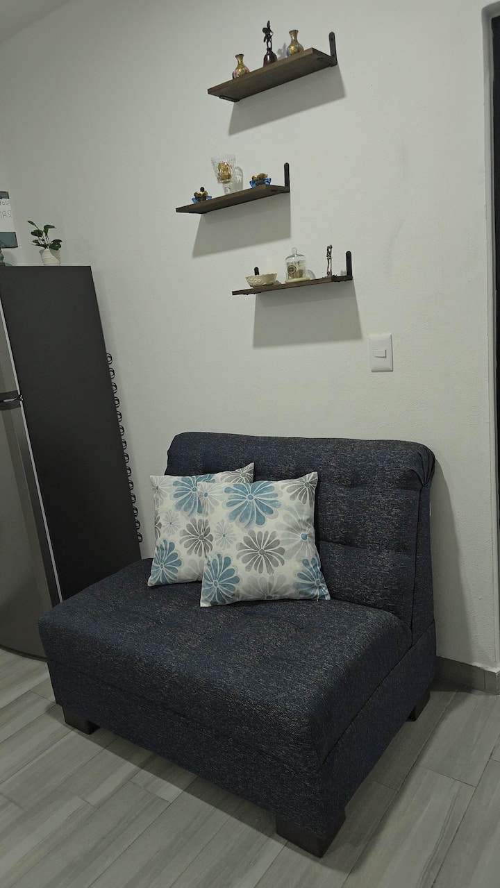 Colonia Reforma Apartments 1 Bd 1 Bath - Ciudad Guzman