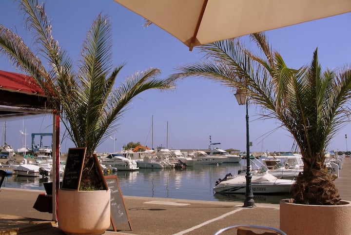 Villa Bord De Mer Avec Piscine - Korsika