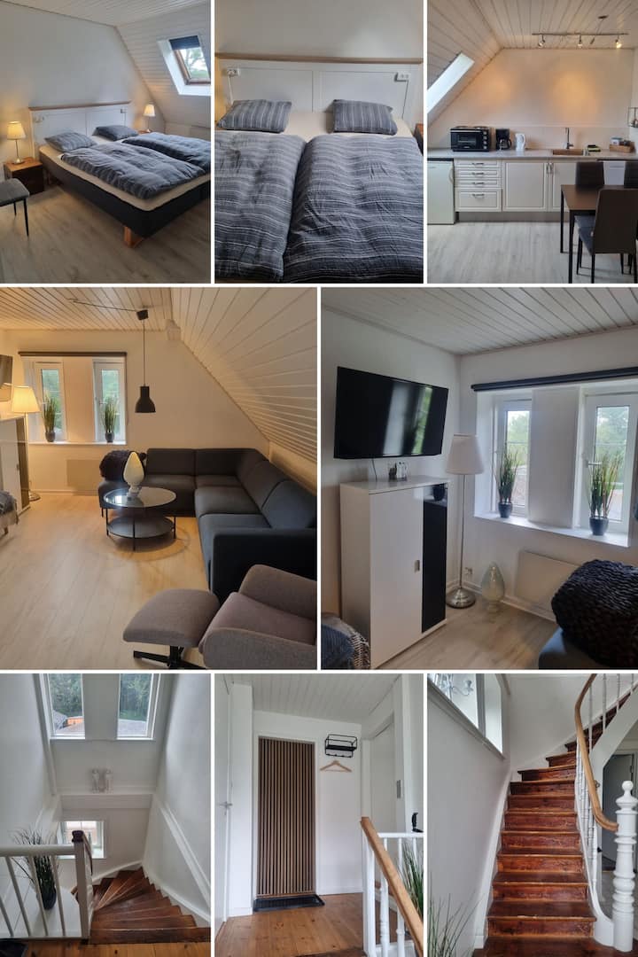 קולאז' של הדירה 