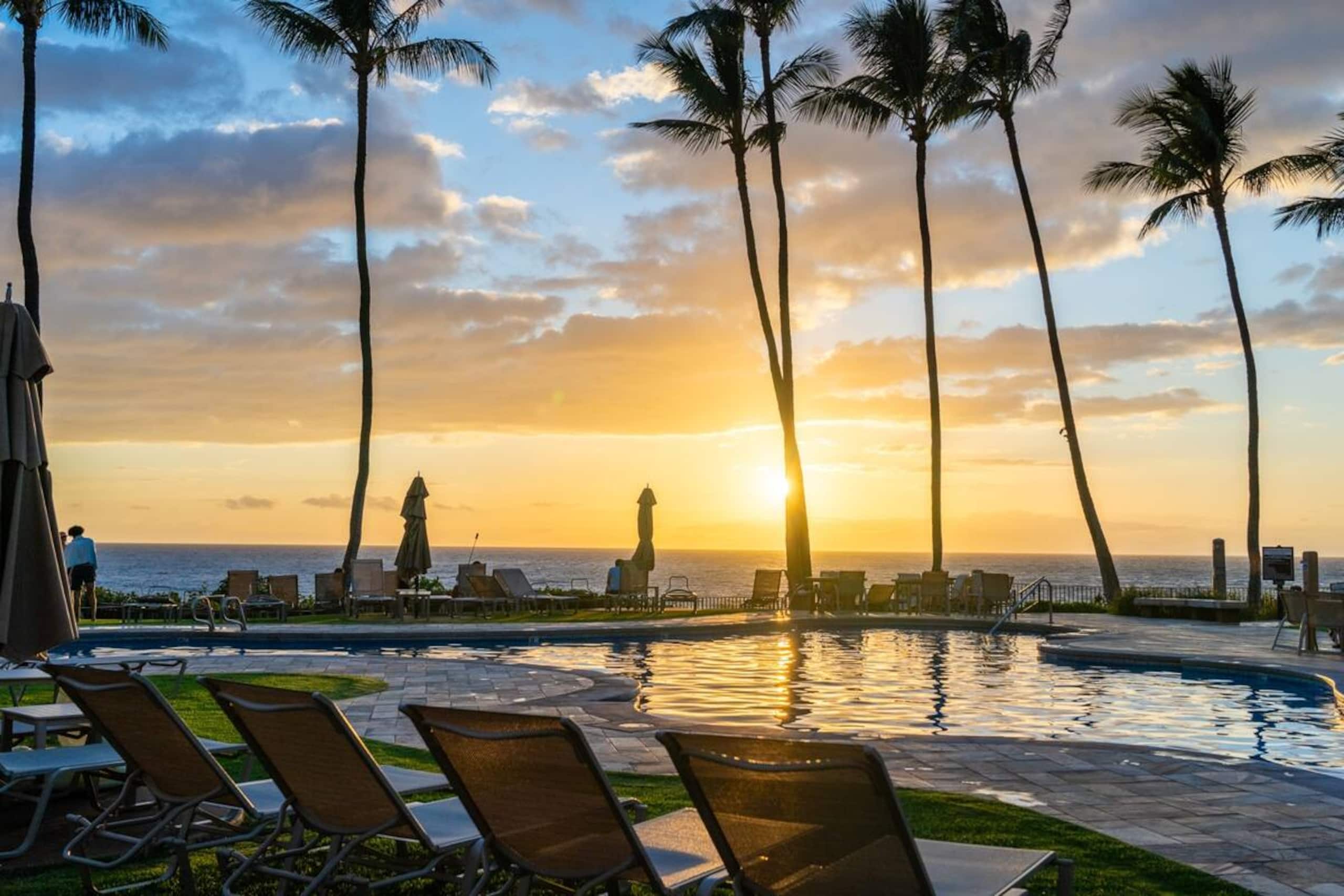 Stunning Sunsets & Ocean Views Every Day! - Image 55