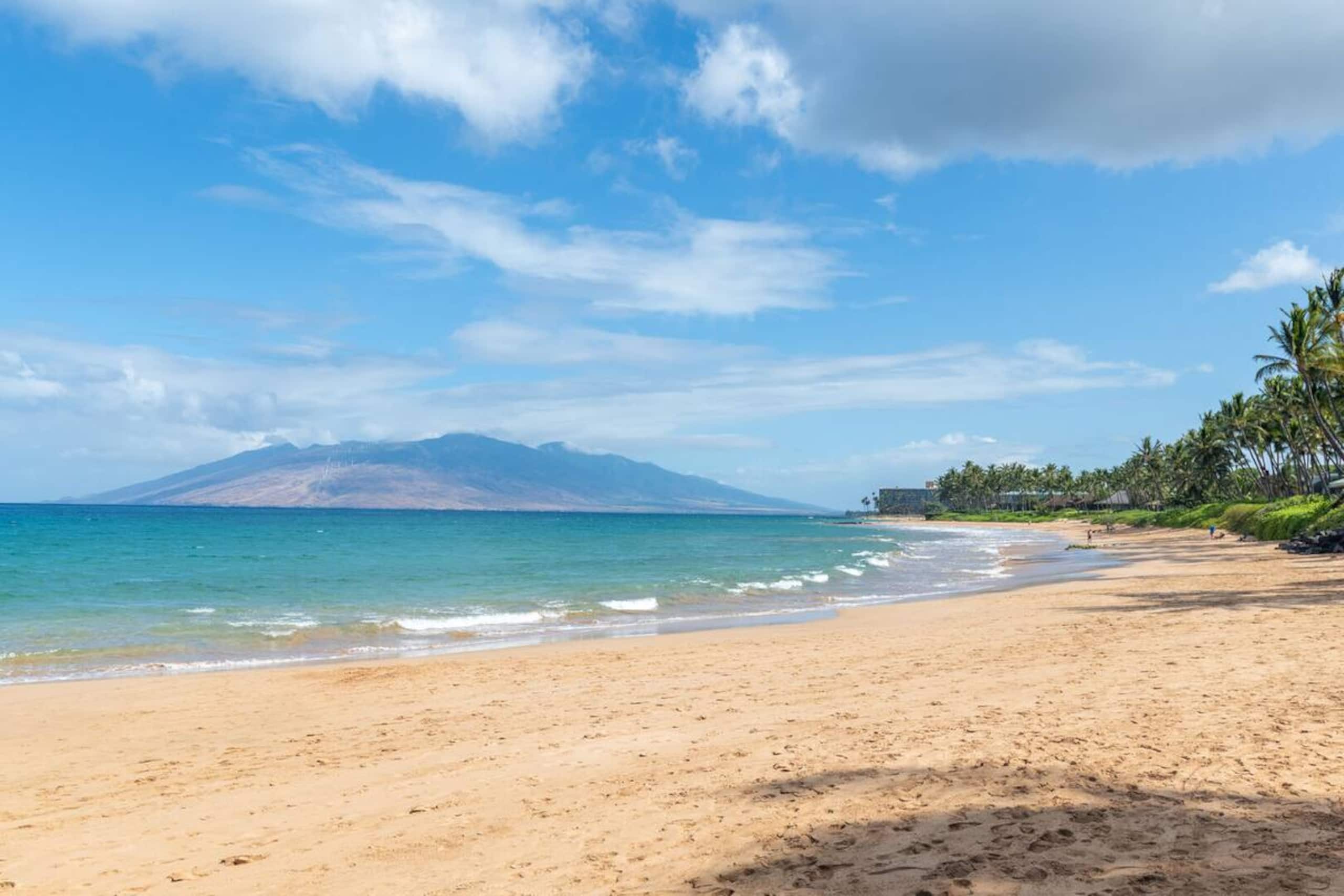 Stunning Sunsets & Ocean Views Every Day! - Image 58