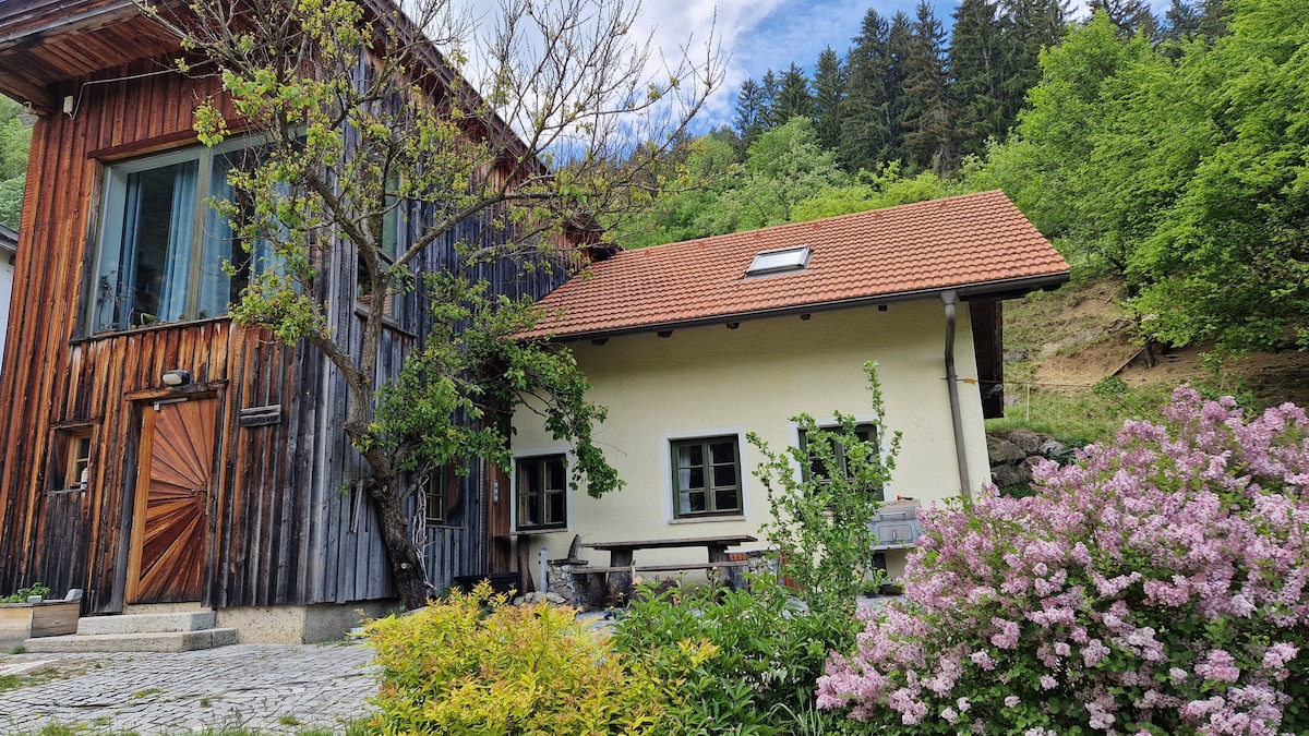 A well-maintained exterior features a rustic wooden building alongside a charming cottage. Flowering shrubs add color to the landscaped area, while a cobblestone pathway leads to the entrance. A clear sky with scattered clouds complements the natural setting surrounded by lush greenery.
