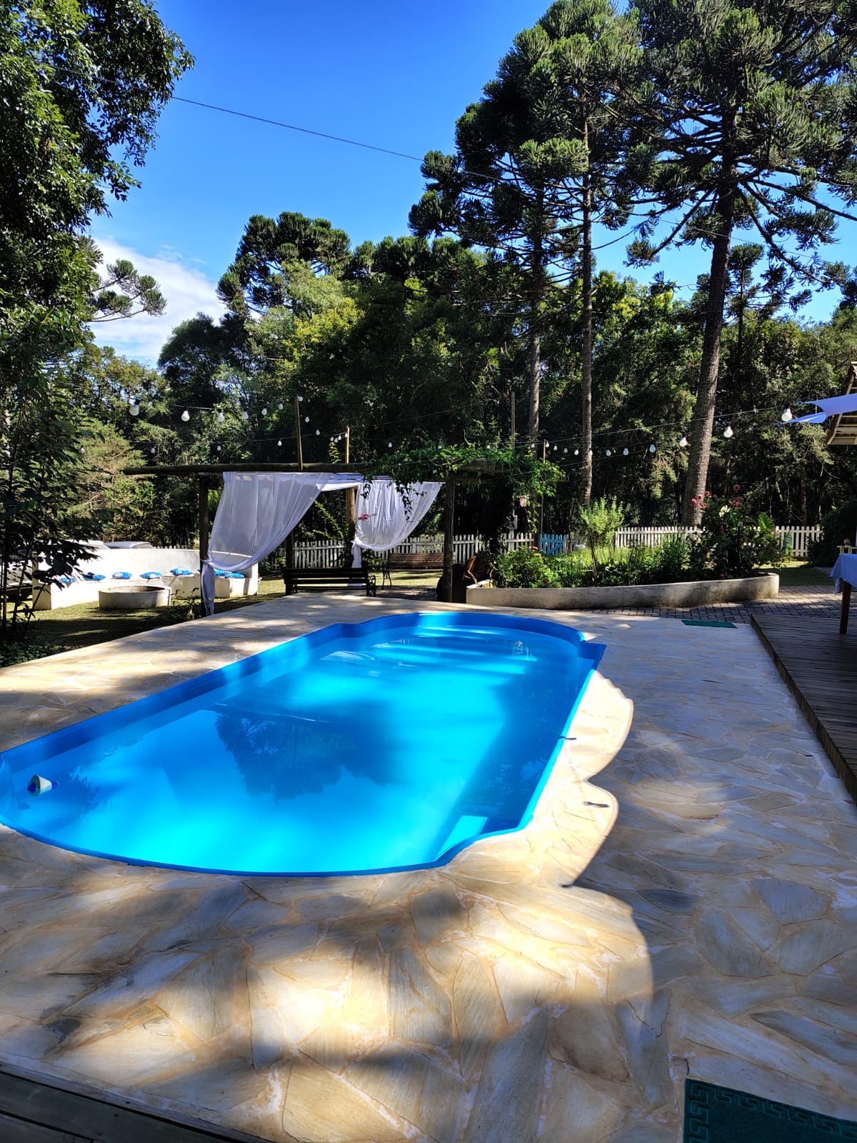 A swimming pool is prominently featured, surrounded by lush greenery. The pool's clear blue water reflects the sunlight, and white curtains flutter in a gentle breeze nearby. Tall trees provide shade, contributing to a serene outdoor environment.