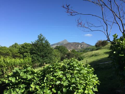 Top Airbnb: Apartment with garden/pool à Urrugne