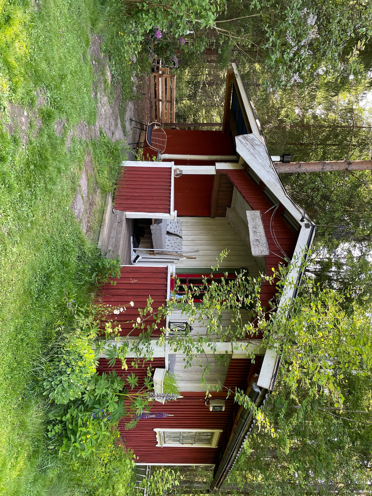 A charming red cabin is nestled among lush greenery. The structure features a sloped roof and a small porch. A chair sits on the porch, surrounded by various plants. Sunlight filters through the trees, creating a serene outdoor environment.