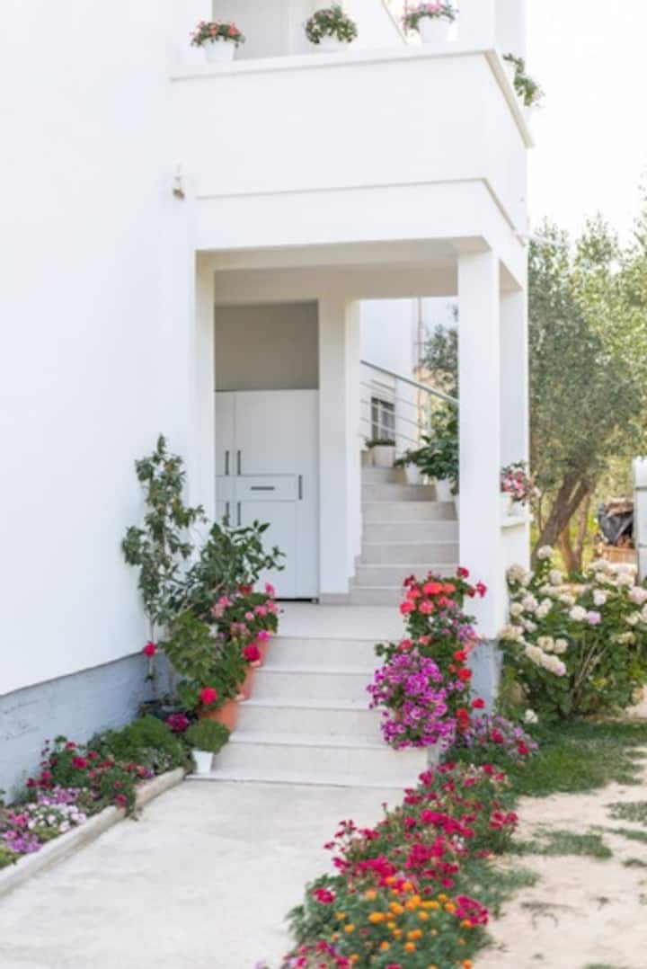 Sinani Gold Apartments - Montenegro