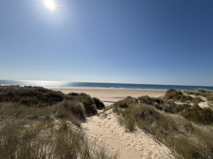 At the foot of the dunes