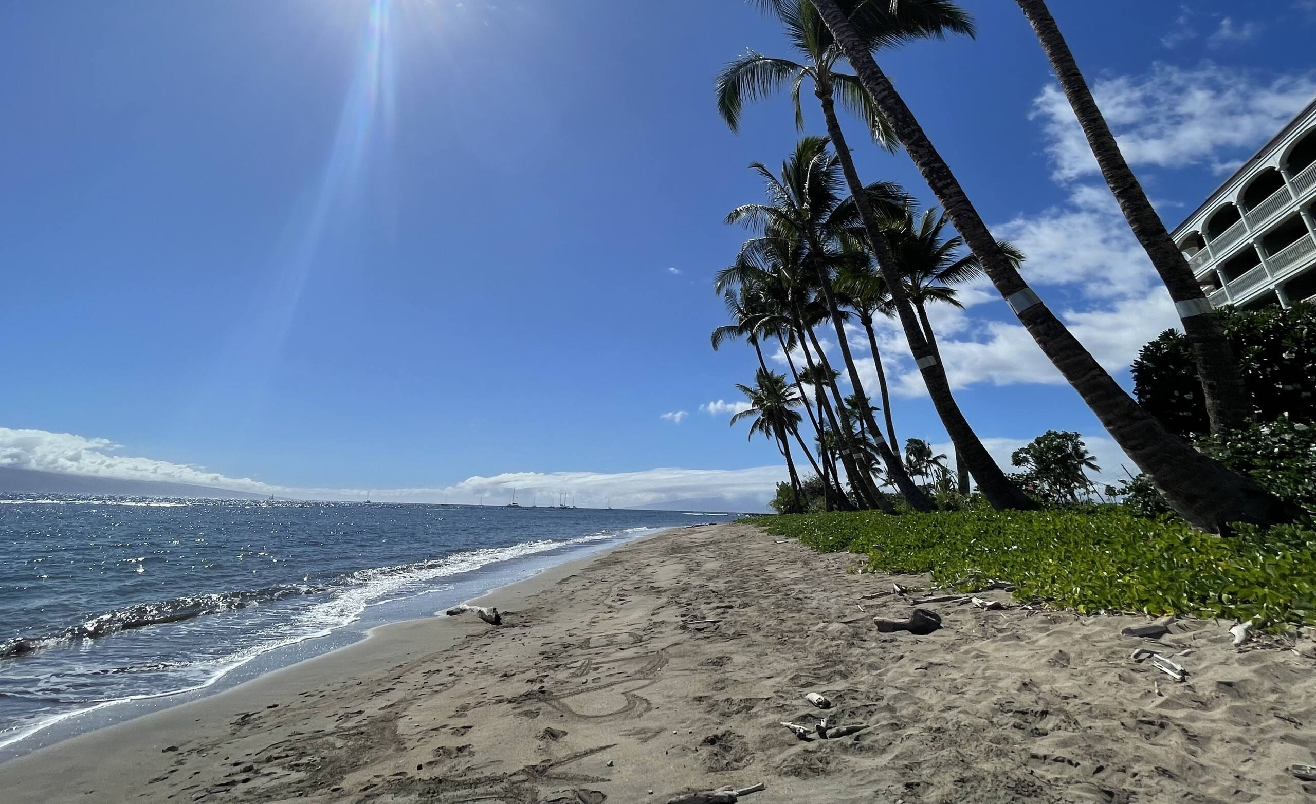 Condo in Lahaina · ★5.0 · Studio · 1 private bath - Image 44