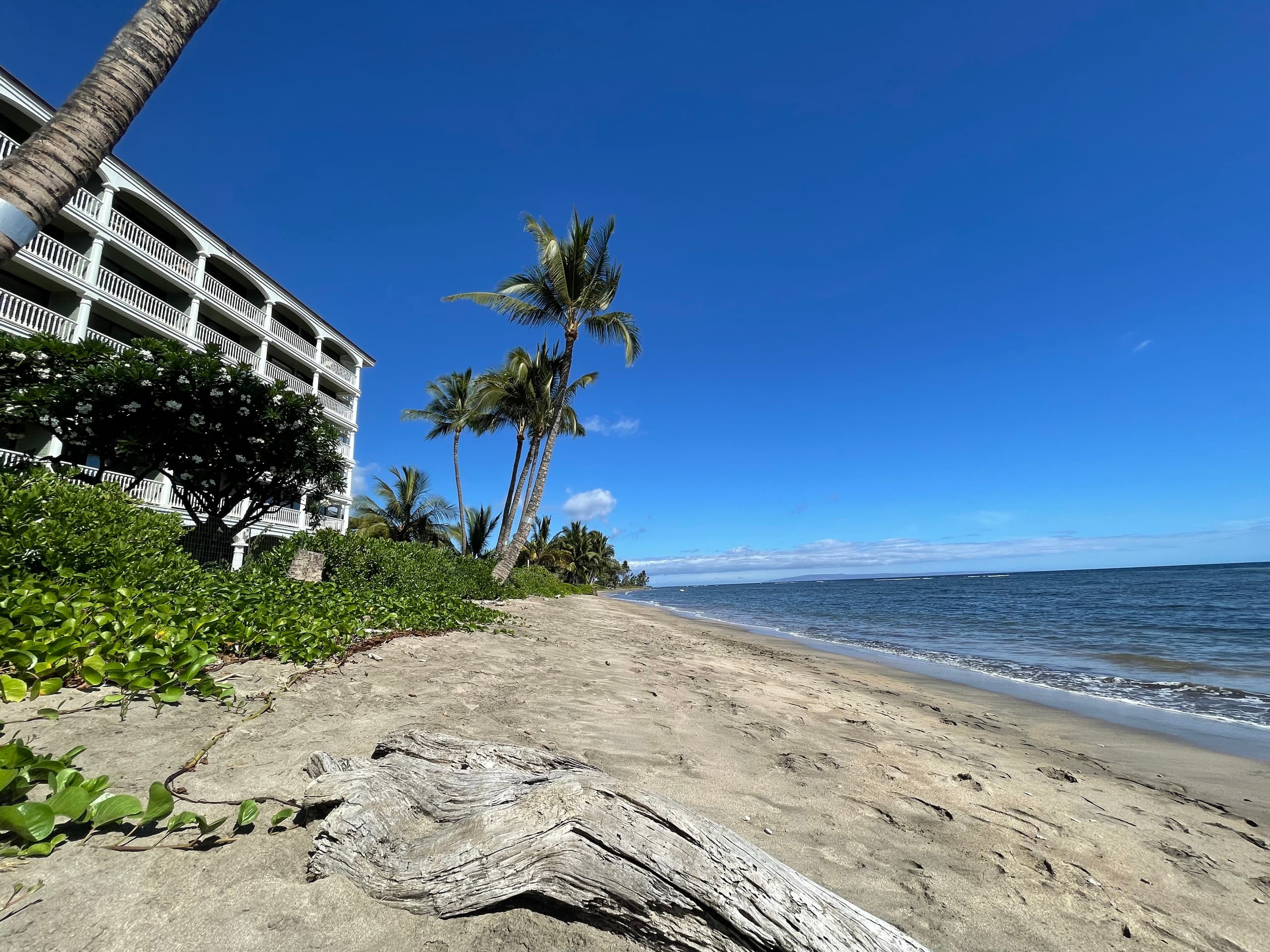 Condo in Lahaina · ★5.0 · Studio · 1 private bath - Image 45