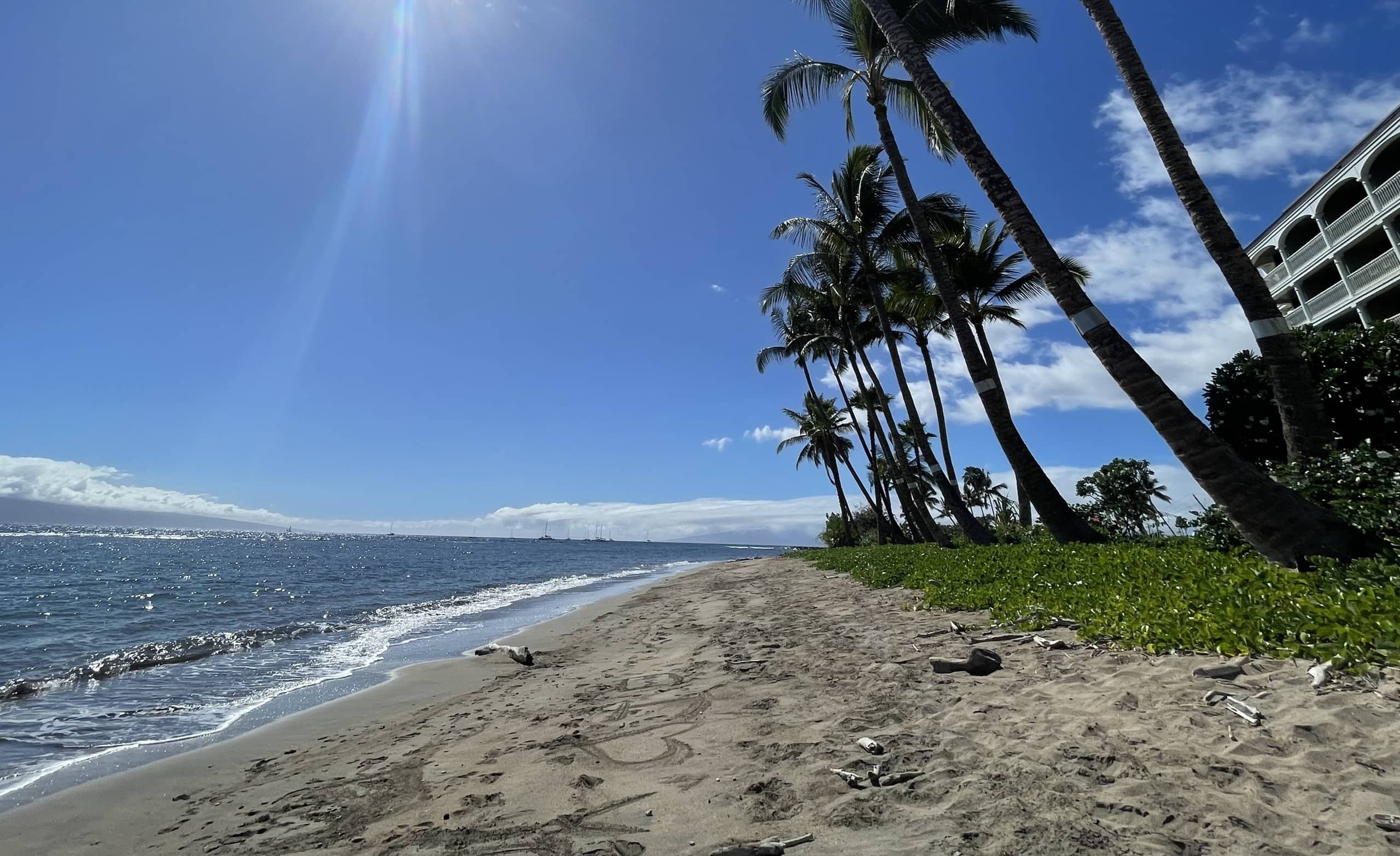 Oceanfront Studio Escape – Lahaina Shores 421 - Image 34