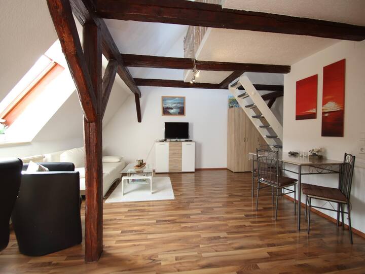 Appartement De Vacances Confortable à Elbingerode - Elbingerode (Harz)