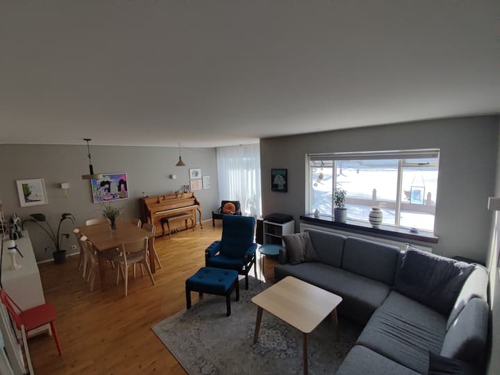 Home In Reykjavík - Reykjavík