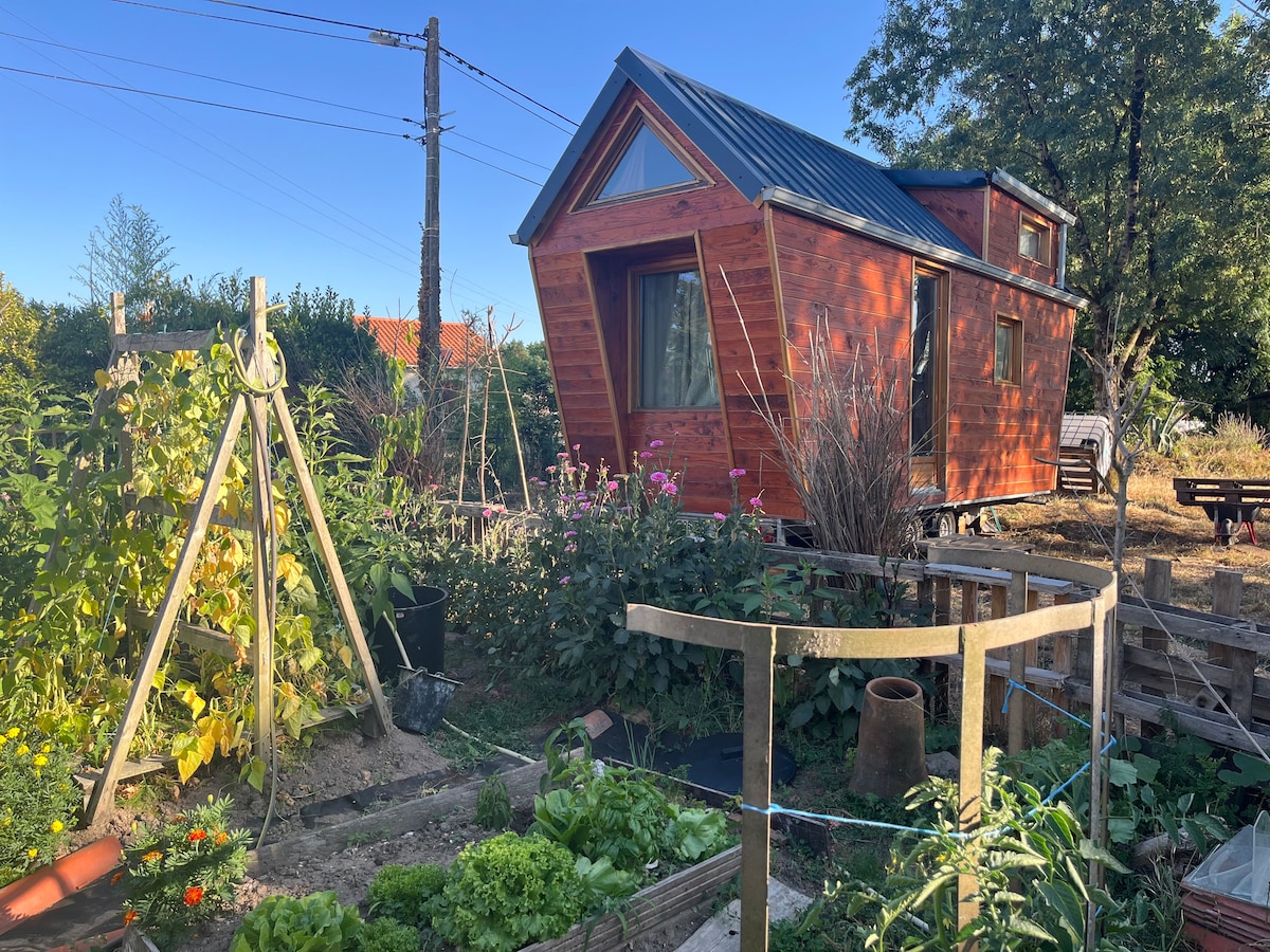 The tiny house showcases a rustic wooden exterior with large windows, surrounded by a lush garden. A variety of plants, including vegetables, are visible in the permaculture garden. The area is enriched by natural light and greenery, providing a tranquil outdoor setting.
