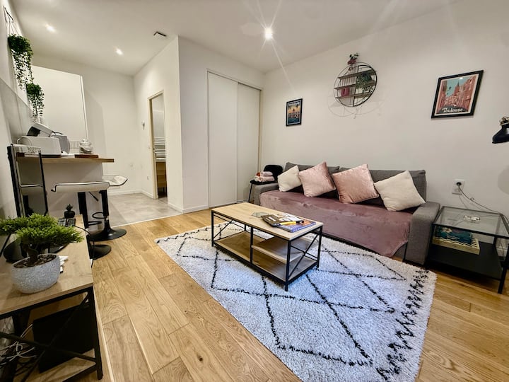 Le Saint-aubin - Hypercentre - Climatisation - Toulouse