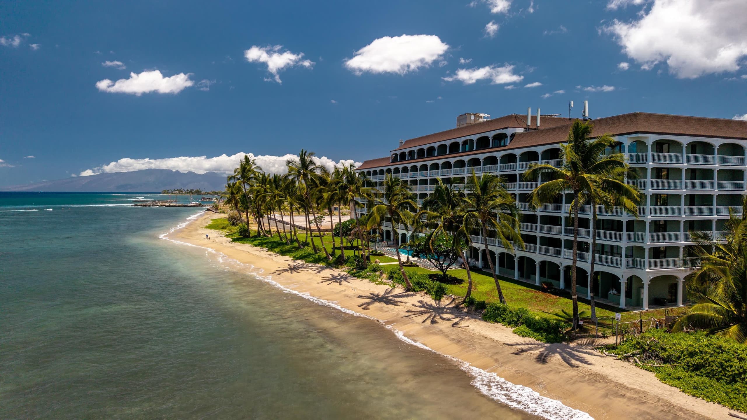 Oceanfront Studio, Sunset View, 5 min to Kaanapali - Image 12