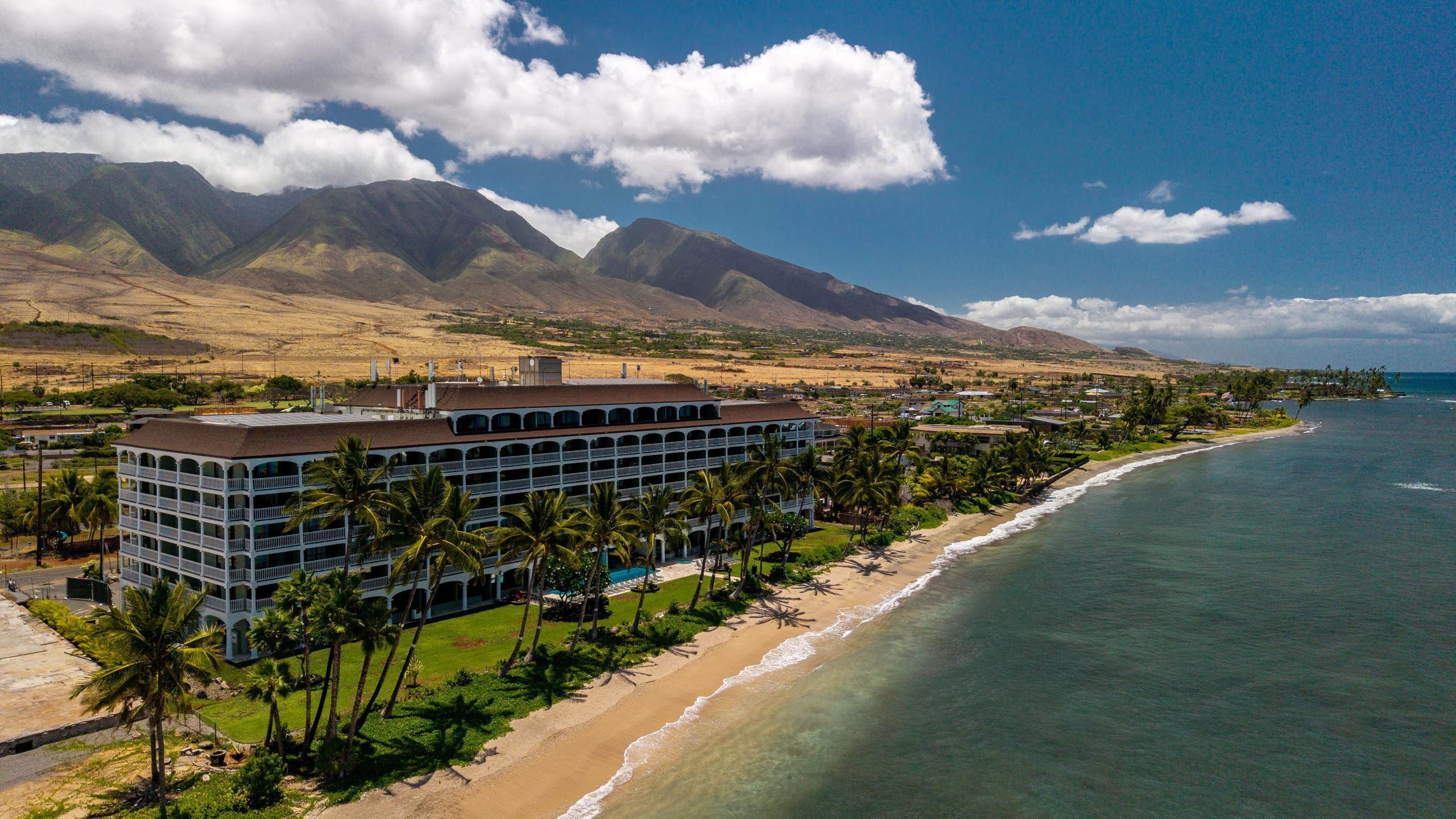 Oceanfront Studio, Sunset View, 5 min to Kaanapali - Image 17