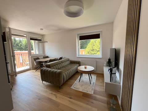 Top performing Airbnb: Verde apartment in Svoboda Nad úpou