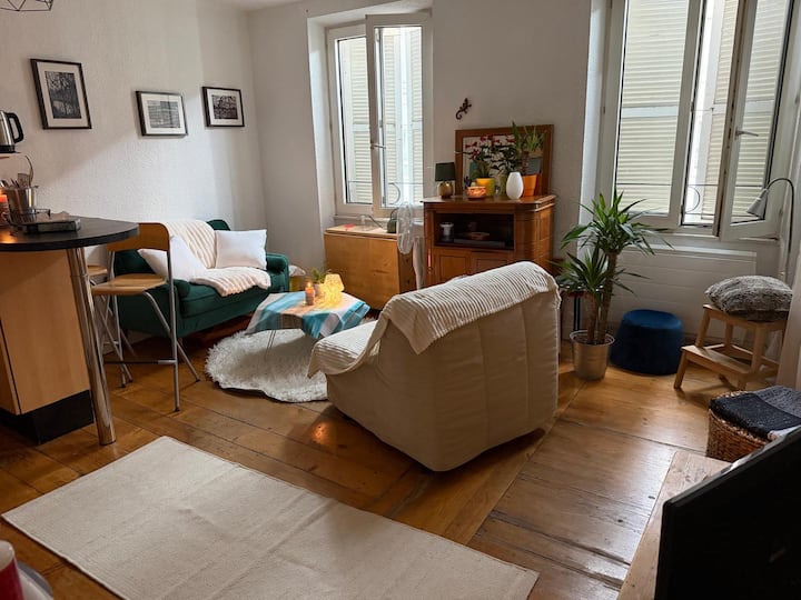 Bright & Cozy Alsatian Apartment - Strasbourg