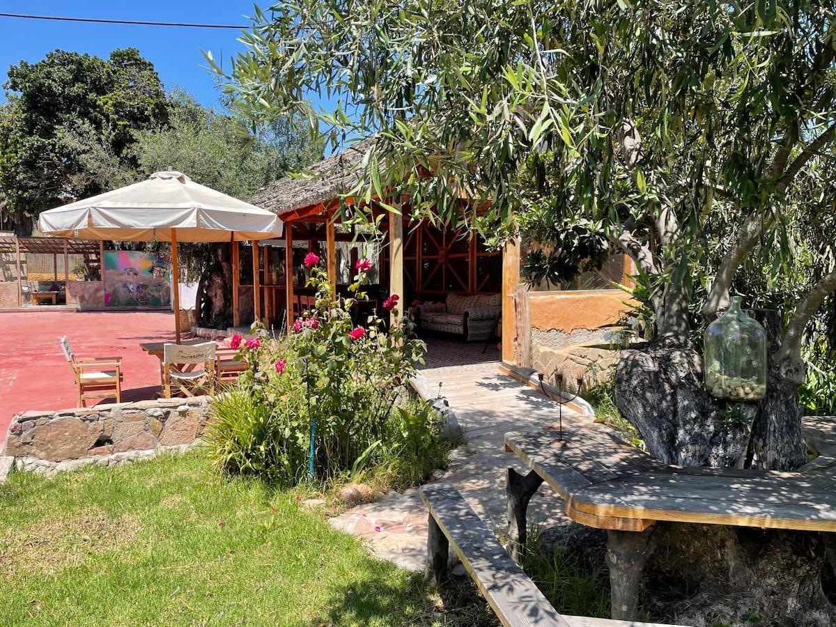 An outdoor area is presented with a variety of greenery, including trees and flowering plants. A stone bench is visible, alongside wooden chairs under a large umbrella. A rustic structure with an open layout is partially seen, contributing to a relaxed atmosphere.