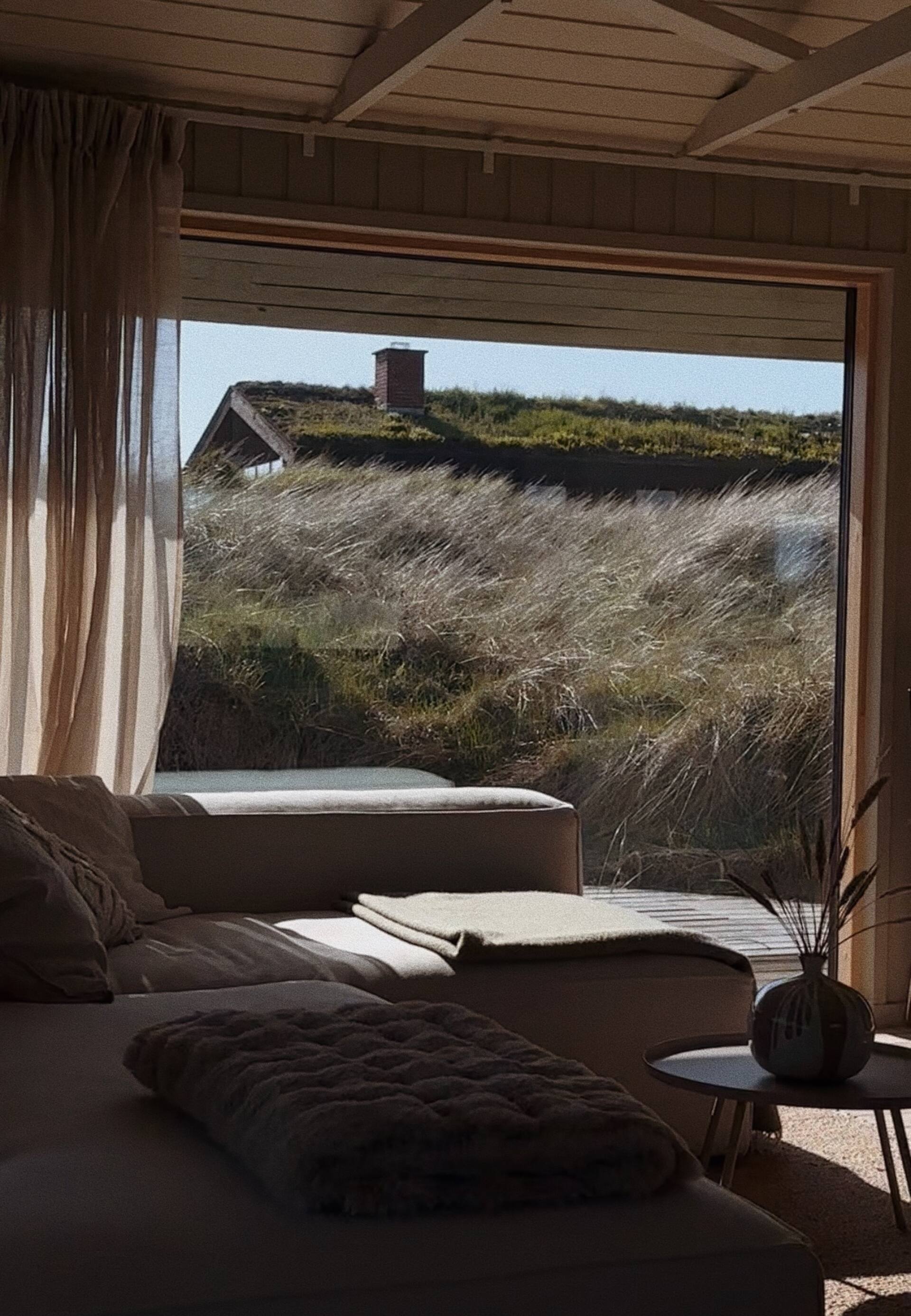 Stillness among the dunes