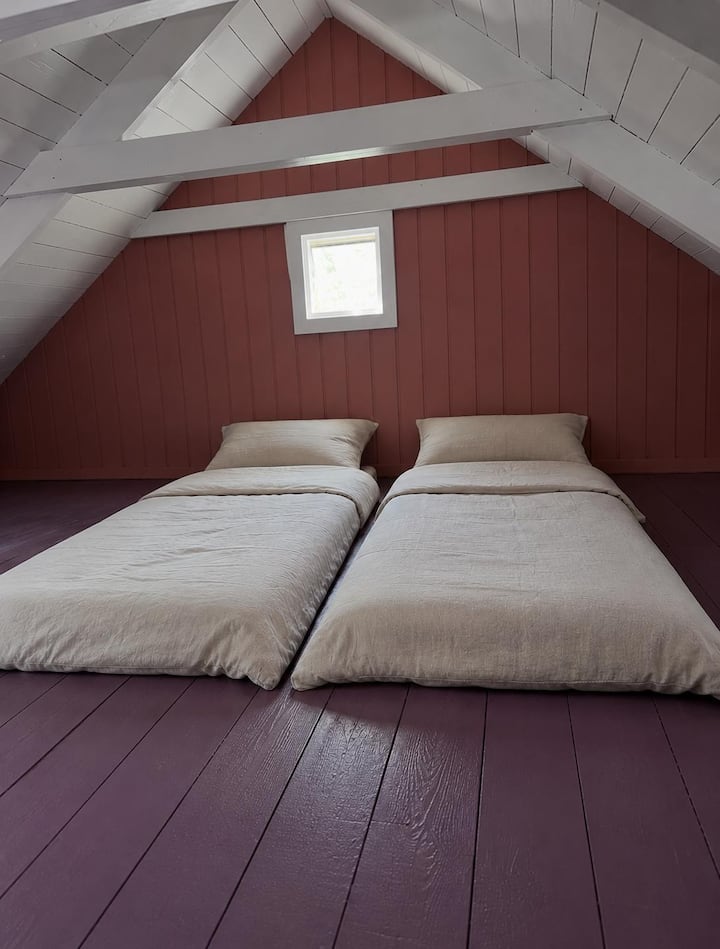 Habitación 8