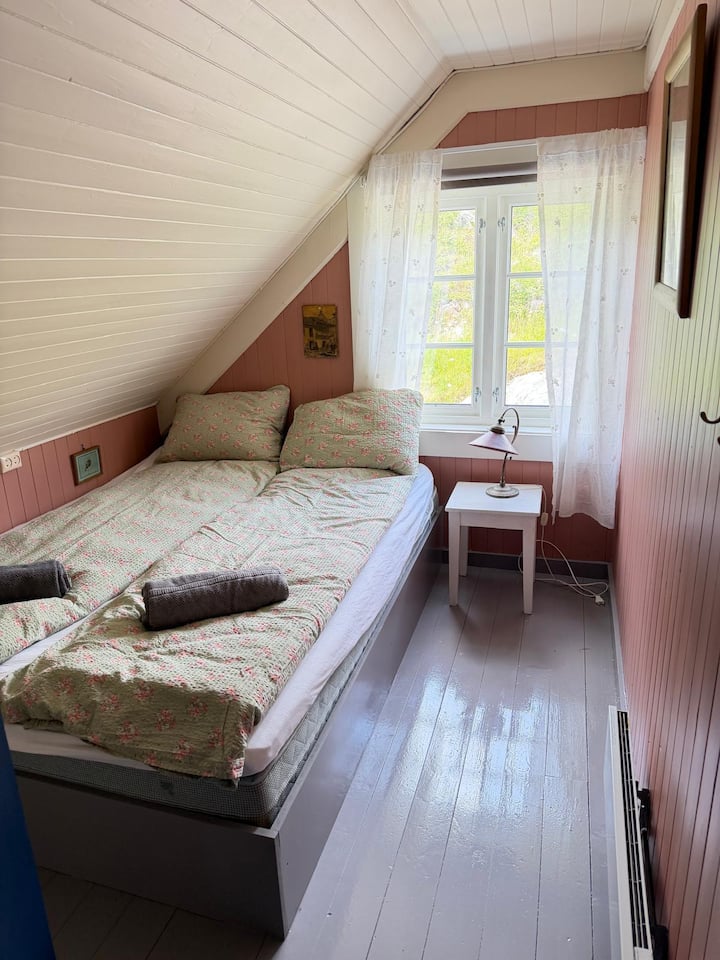 Habitación 6